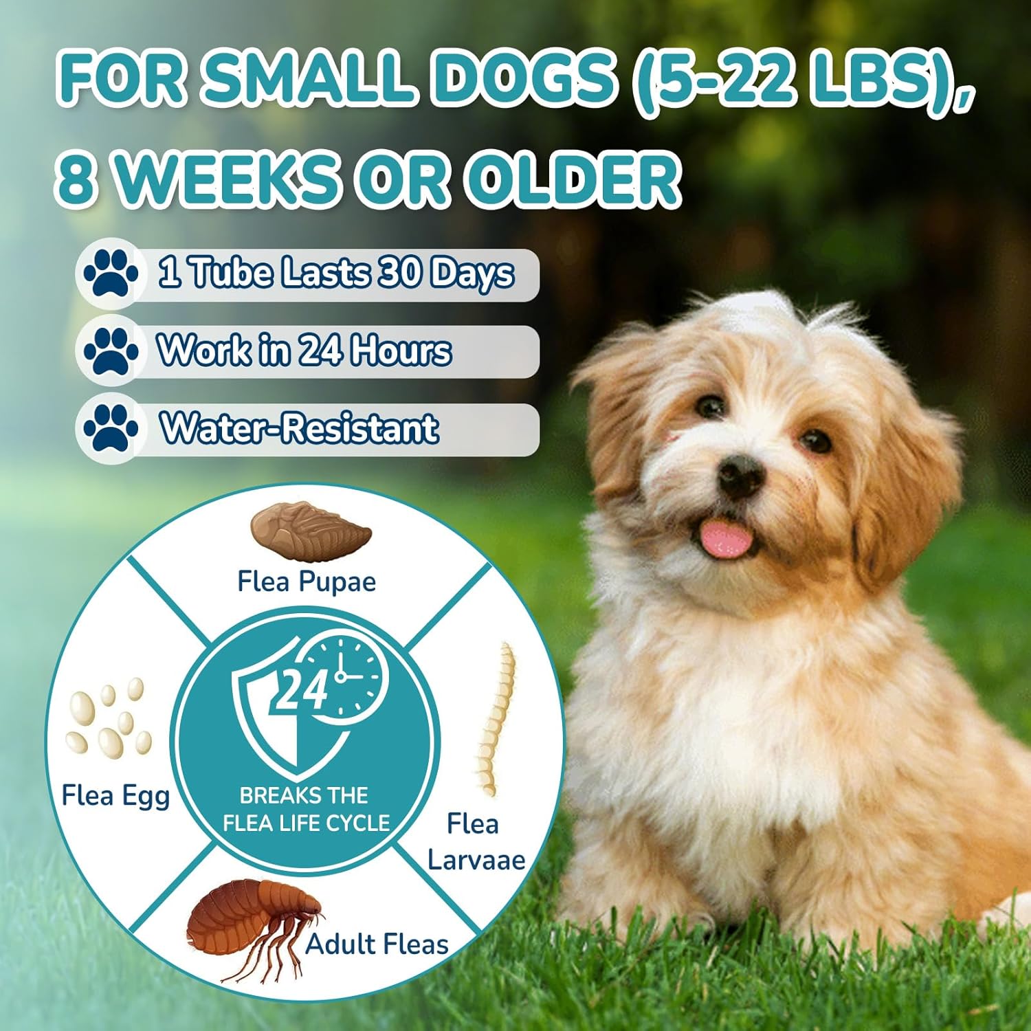 Flea and Tick Prevention for Small Dogs, 6-Month Supply Dog Flea and Tick Treatment Drops, Topical Fast-Acting Dog Flea Treatment for Small Dogs Up to 5 to 22 lbs - 4