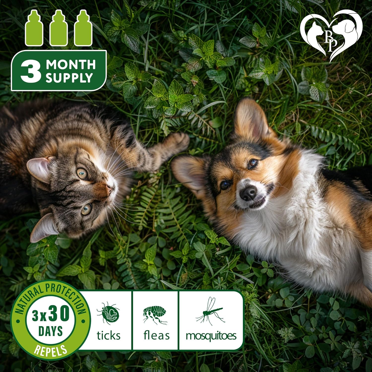 Flea and Tick Prevention for Small Dogs & Cats, Rabbits - Natural Flea Treatment & Pest Control - Topical Flea & Mosquito Repellent for Puppy and Kitten - All Pets - 3