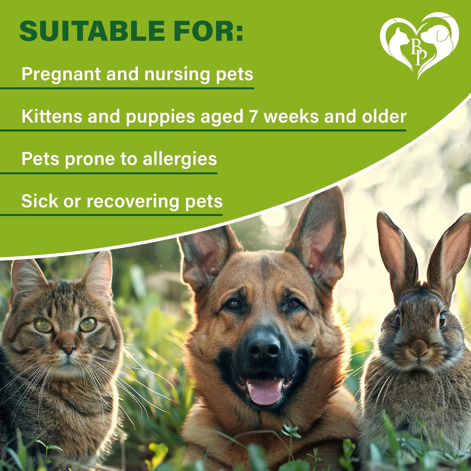 Flea and Tick Prevention for Small Dogs & Cats, Rabbits - Natural Flea Treatment & Pest Control - Topical Flea & Mosquito Repellent for Puppy and Kitten - All Pets - 6