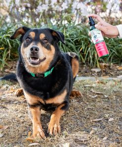 ARK NATURALS Neem Protect Spray, Relieves Itching and Irritation on Cats and Dogs, 8oz Spray Bottle,Whites & Tans - 3