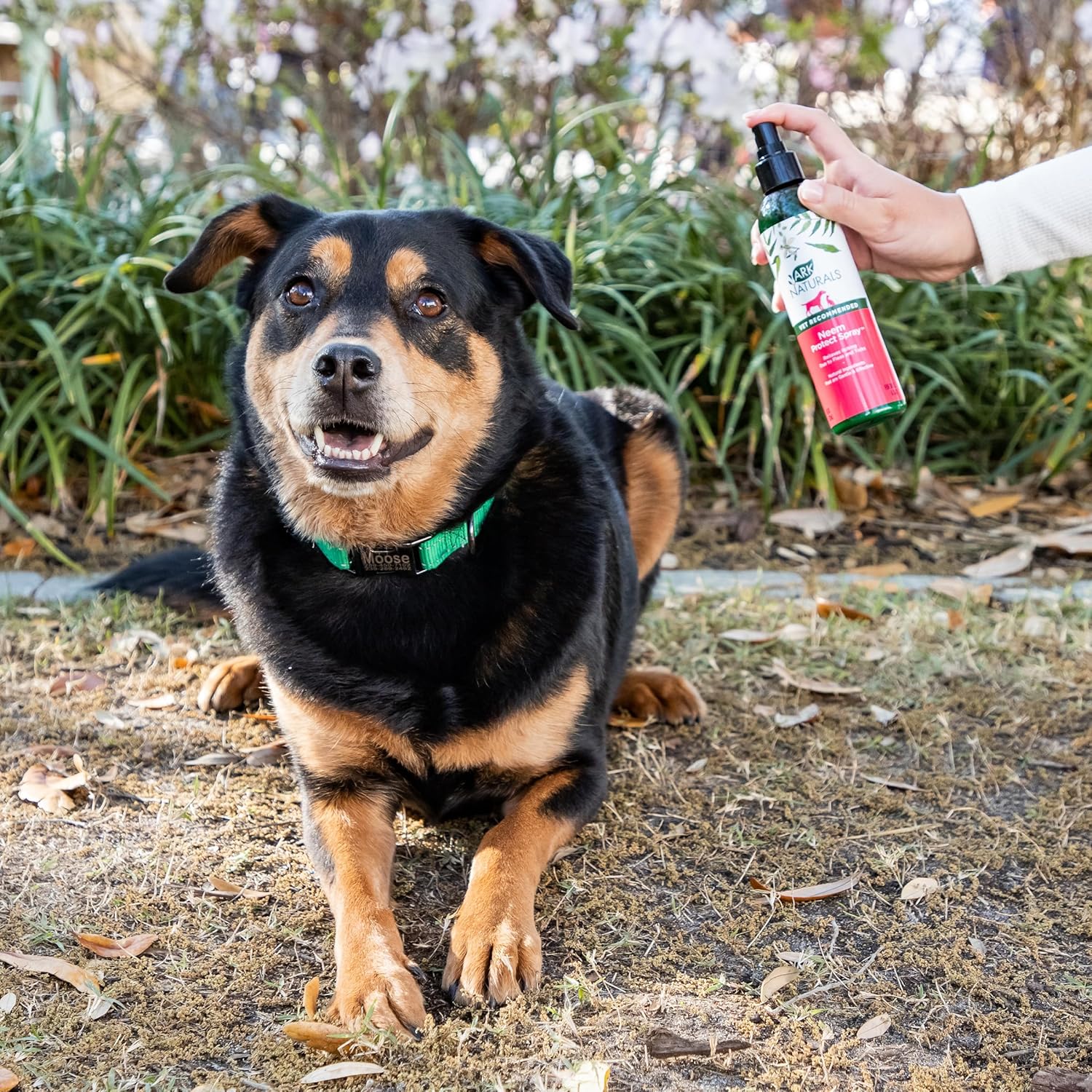 ARK NATURALS Neem Protect Spray, Relieves Itching and Irritation on Cats and Dogs, 8oz Spray Bottle,Whites & Tans - 3