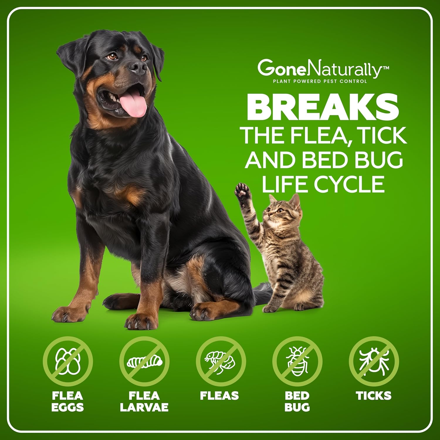 Flea and Tick Spray for Dogs & Home– Natural Flea and Tick Prevention for Dogs– Bed Bug Spray & Multi-Insect Killer– Scentless Plant-Based Formula Kills on Contact - 4