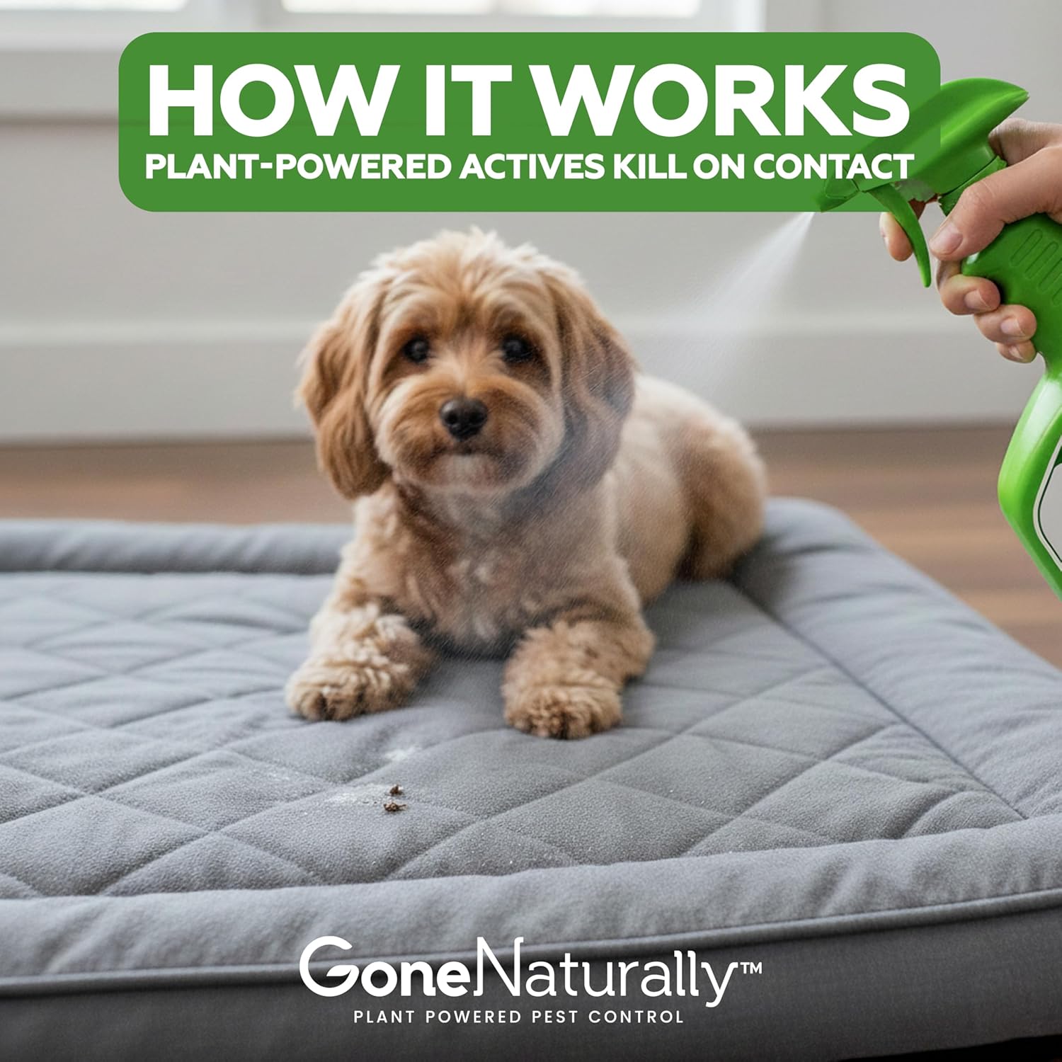 Flea and Tick Spray for Dogs & Home– Natural Flea and Tick Prevention for Dogs– Bed Bug Spray & Multi-Insect Killer– Scentless Plant-Based Formula Kills on Contact - 6