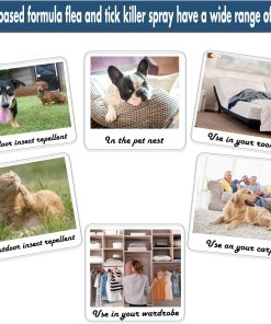 Flea and Tick Spray for Pets and Home - Plant-Based Essential Oil Formula - Natural and Effective Treatment for Ticks, Fleas and Insects - Indoor and Outdoor Use - Charity Donation Included - 5