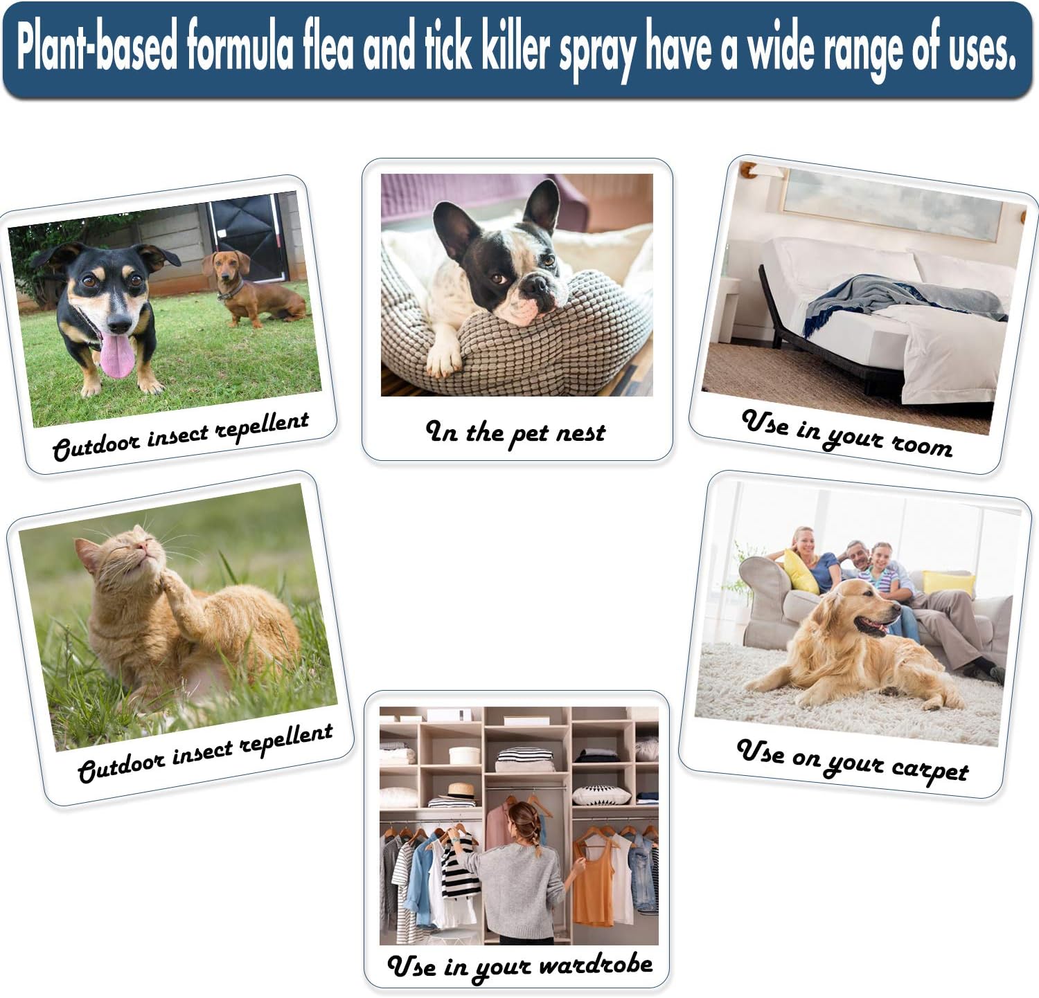 Flea and Tick Spray for Pets and Home - Plant-Based Essential Oil Formula - Natural and Effective Treatment for Ticks, Fleas and Insects - Indoor and Outdoor Use - Charity Donation Included - 5