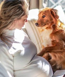 Flea and Tick Spray for Pets and Home - Plant-Based Essential Oil Formula - Natural and Effective Treatment for Ticks, Fleas and Insects - Indoor and Outdoor Use - Charity Donation Included - 6