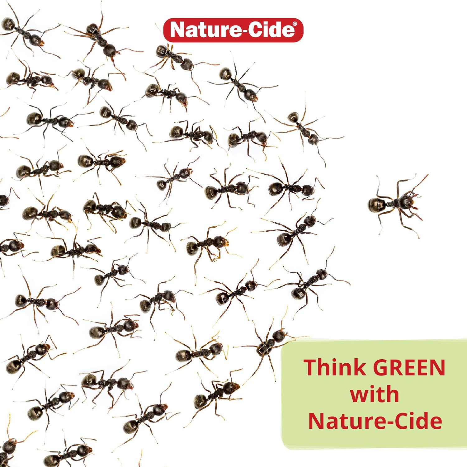 Nature-Cide Flea & Tick. All Natural Tick and Flea Spray for House and Pets to Keep Your Home Safe. Kills on Contact. No Strong Odor. 8 oz - 7