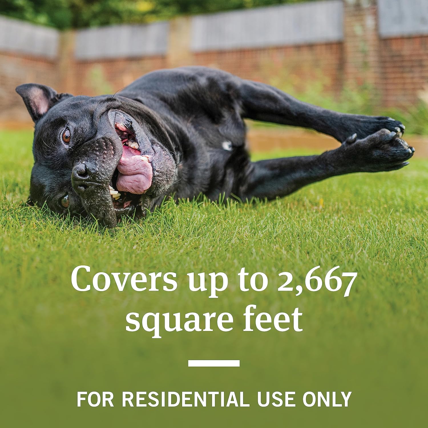 PetArmor Home Yard Spray for Dogs, Kills and Protects Against Fleas, Ticks, Mosquitoes, Ants, and Other Bugs, 32oz - 3