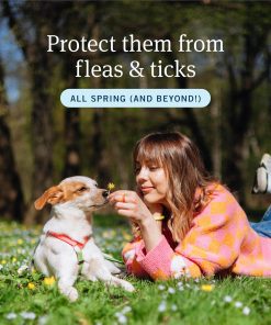 PetArmor Home Yard Spray for Dogs, Kills and Protects Against Fleas, Ticks, Mosquitoes, Ants, and Other Bugs, 32oz - 4