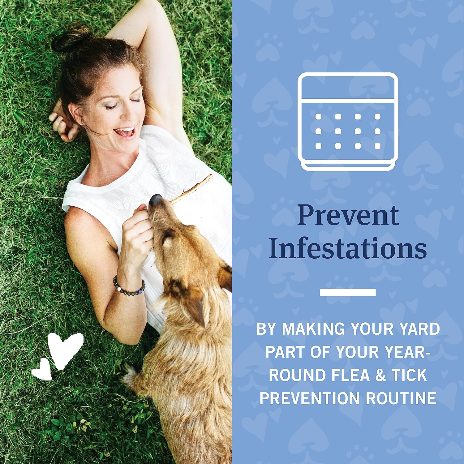 PetArmor Home Yard Spray for Dogs, Kills and Protects Against Fleas, Ticks, Mosquitoes, Ants, and Other Bugs, 32oz - 5