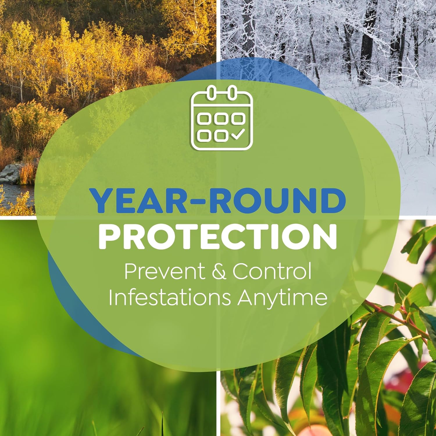 Riddy Flea & Tick Natural Spray for Pets with Essential Oils Safe Non-Hazardous Indoor and Outdoor Control, 8 oz, 1 Pack - 7