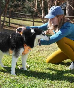 Sawyer Products SP624 Permethrin, Permethrin for Dogs Insect Repellent Treatment - 5