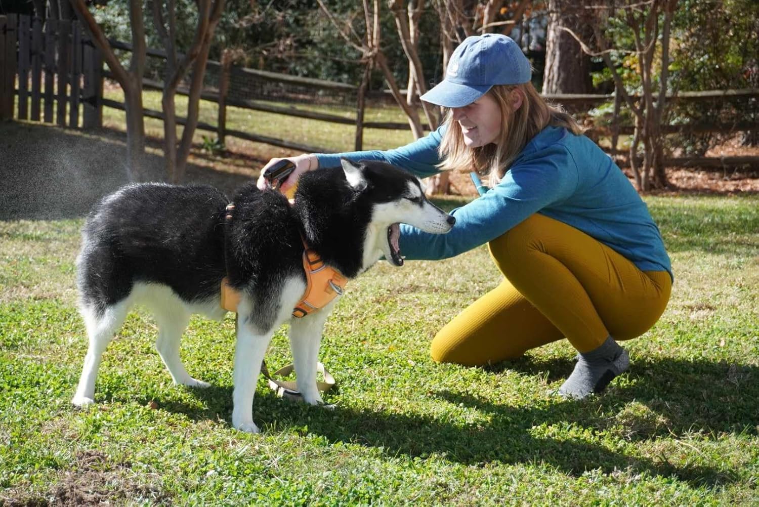 Sawyer Products SP624 Permethrin, Permethrin for Dogs Insect Repellent Treatment - 5