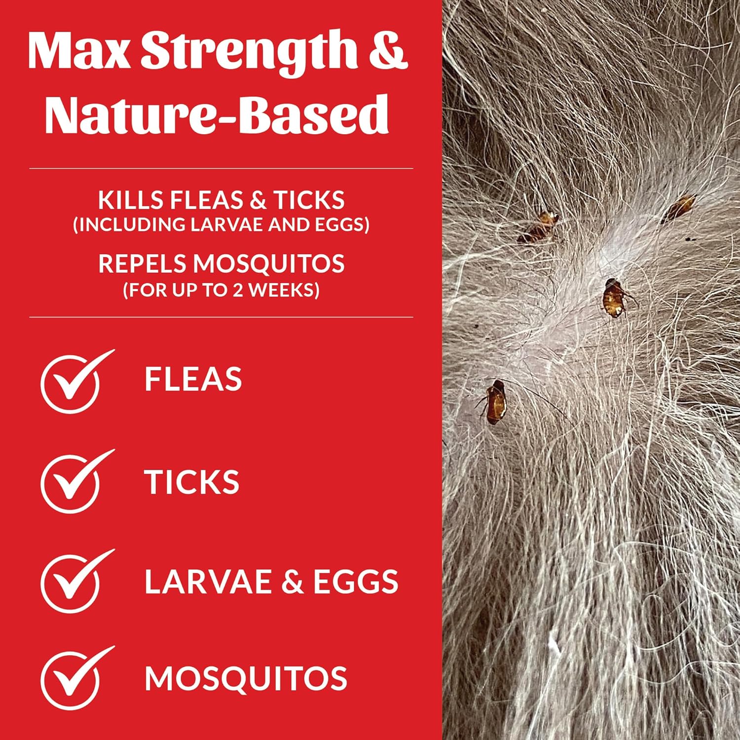 Skout's Honor Flea and Tick Dog & Home Spray - Natural Peppermint & Cedarwood Formula, Helps to Protect from Fleas, Ticks, and Mosquitos, 28 oz - 4