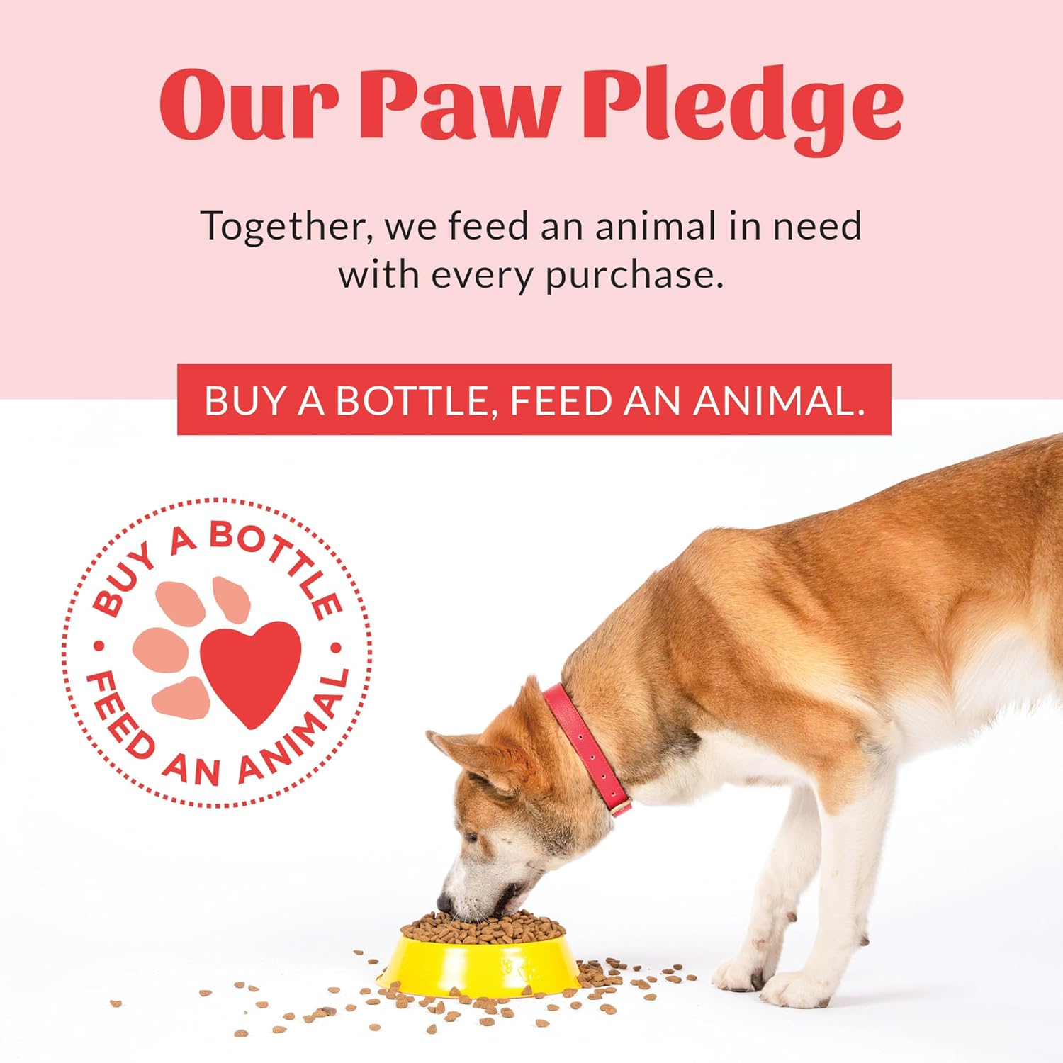 Skout's Honor Flea and Tick Dog & Home Spray - Natural Peppermint & Cedarwood Formula, Helps to Protect from Fleas, Ticks, and Mosquitos, 28 oz - 9