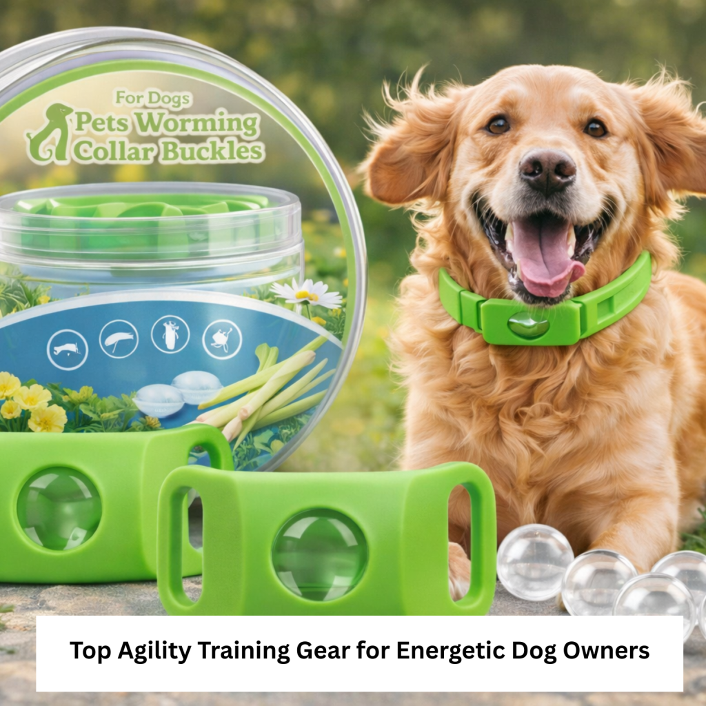 Top Agility Training Gear for Energetic Dog Owners