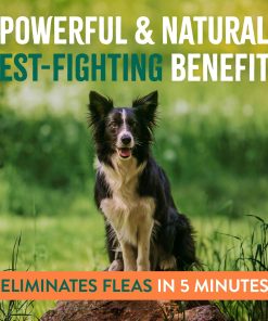 TropiClean Natural Maximum Strength Flea and Tick Spray for Dogs, 16oz - 4