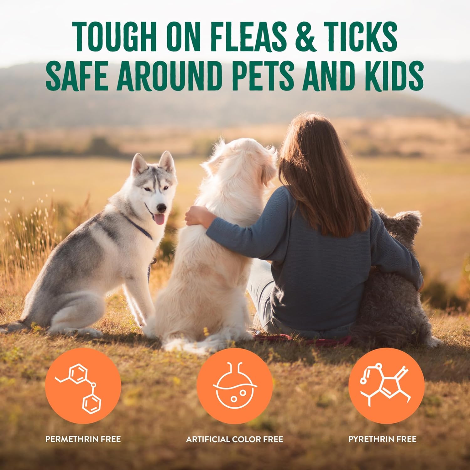 TropiClean Natural Maximum Strength Flea and Tick Spray for Dogs, 16oz - 6