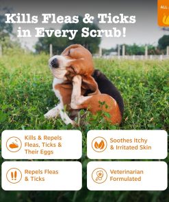 Zesty Paws Flea and Tick Spray for Dogs - Kill Fleas, Ticks & Their Eggs - Veterinarian Formulated - Soothes Itchy & Irritated Dog Skin - Cedarwood Oil, Rosemary Oil & Peppermint Oil - 2