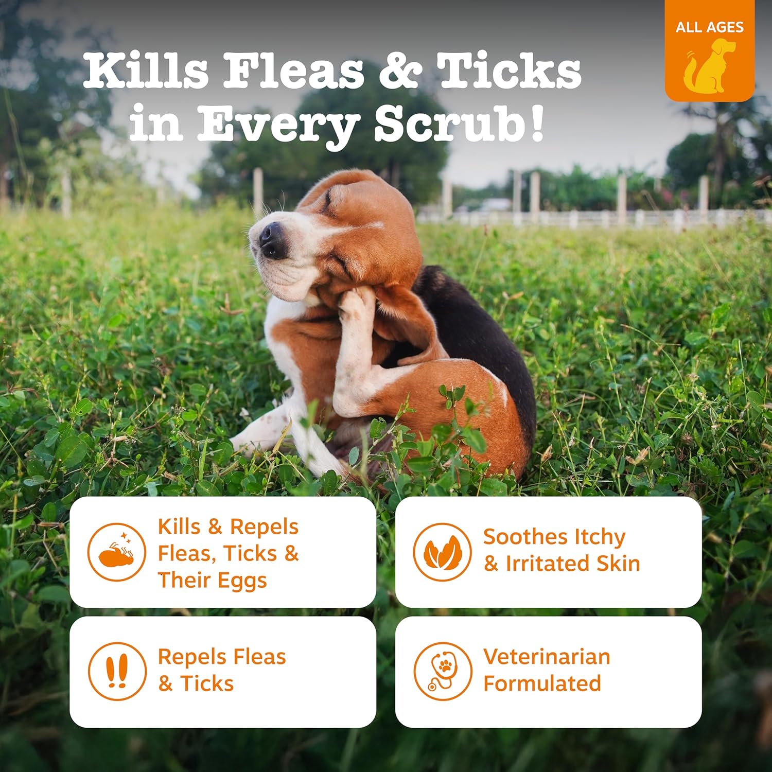 Zesty Paws Flea and Tick Spray for Dogs - Kill Fleas, Ticks & Their Eggs - Veterinarian Formulated - Soothes Itchy & Irritated Dog Skin - Cedarwood Oil, Rosemary Oil & Peppermint Oil - 2