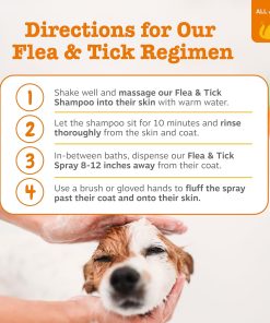 Zesty Paws Flea and Tick Spray for Dogs - Kill Fleas, Ticks & Their Eggs - Veterinarian Formulated - Soothes Itchy & Irritated Dog Skin - Cedarwood Oil, Rosemary Oil & Peppermint Oil - 3