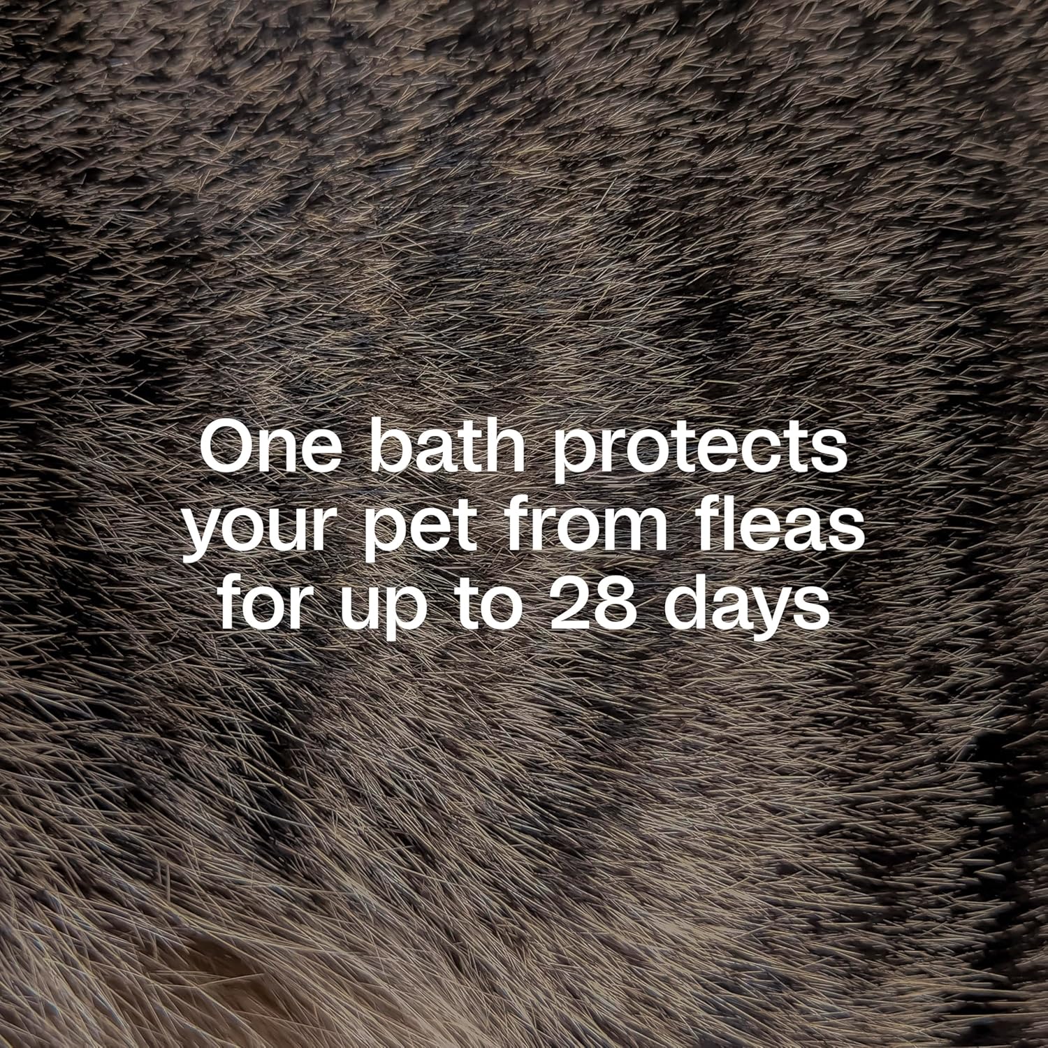 ADAMS Plus Flea & Tick Foaming Shampoo & Wash for Dogs & Puppies, Flea Shampoo to Treat Flea Infestations, Kills Ticks, Fleas, Flea Eggs & Lice, Cleans and Conditions Coat, 10 Ounces - Image 10