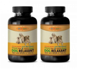 Dog Activity Equipment