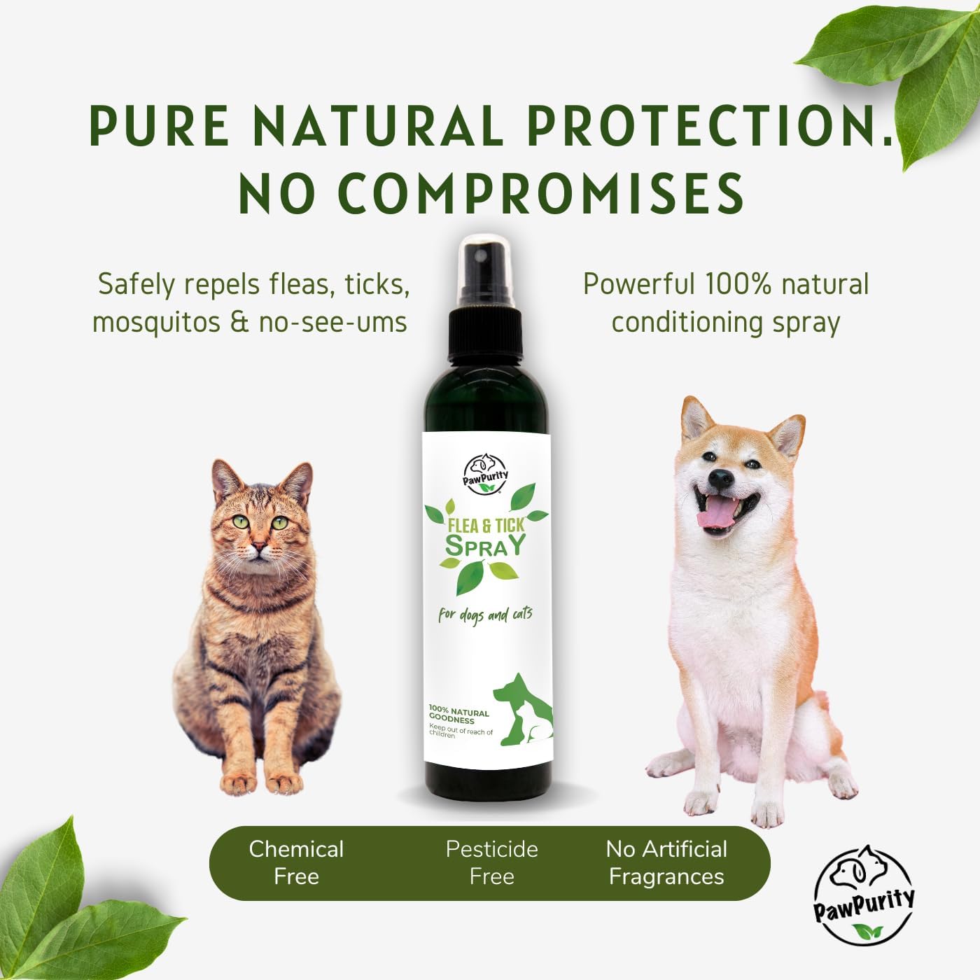 PawPurity Flea/Tick Shampoo and Spray Kit for Dogs & Cats, 100% Natural, Organic, Protects & Conditions, Herbal Citrus Scent (Shampoo 16 oz + Spray 8 oz) - Image 2