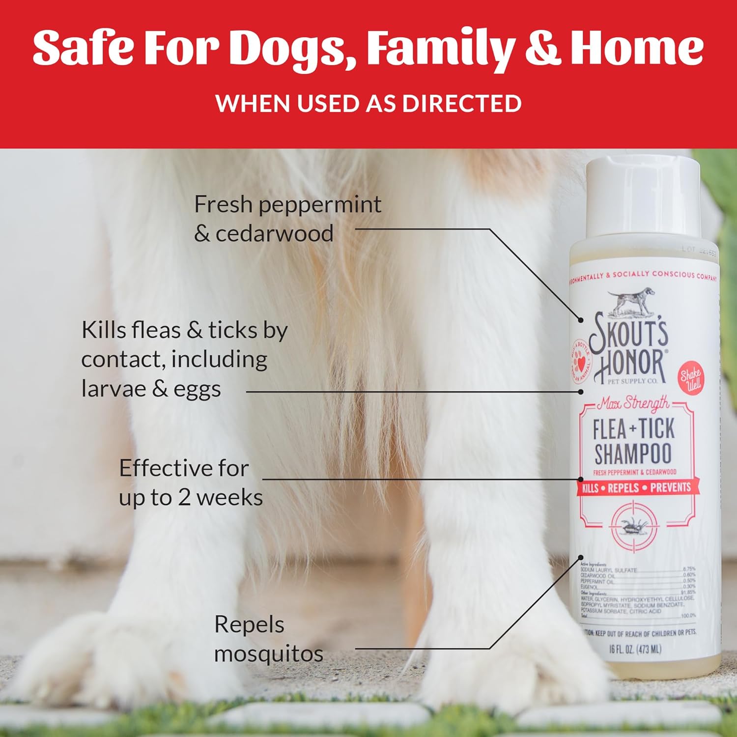 Skout's Honor Flea and Tick Shampoo for Dogs - Natural Peppermint & Cedarwood Formula, Helps to Protect from and Against Fleas, Ticks, and Mosquitos, 16 oz - Image 4