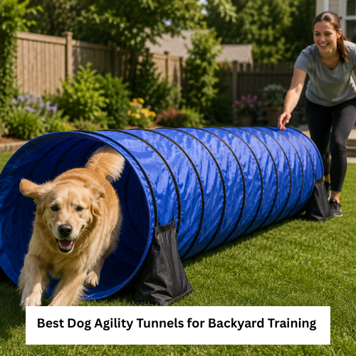 Best Dog Agility Tunnels for Backyard Training and Fun