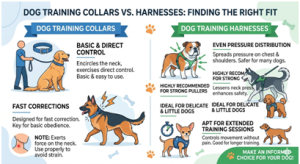 Dog Training Collar vs Harness – Best Choice