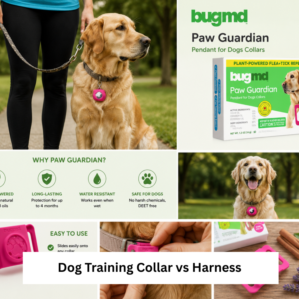 Dog Training Collar vs Harness – Best Choice Guide