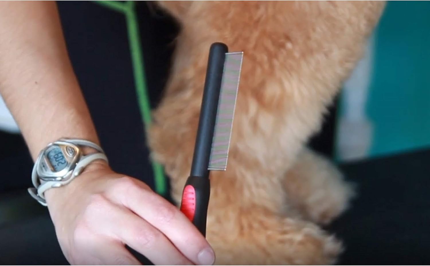 Ryan's Pet Supplies Paw Brothers Flea Comb for Small and Large Dogs and Cats with Handle, Professional Dog Grooming Kit and Supplies, Puppy Essentials, Black and Red, 8.8 Inches - Image 4