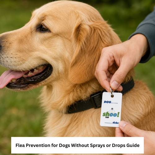 Flea Prevention for Dogs Without Sprays or Drops Guide