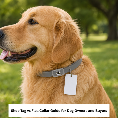 Shoo Tag vs Flea Collar Guide for Dog Owners and Buyers