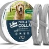 Dog Flea Collar, Flea Collars for Dogs, Natural Flea Tick Collar, 8 Months Protection, Adjustable Size, Easy to Use,2P - 1