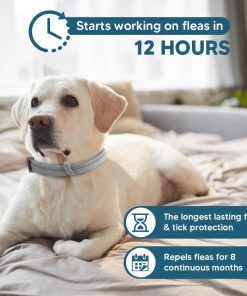Alternative view of NJKPUYT Flea Collar for Dogs, Tick and Flea Collar for Dogs, Dog Tick Collar, Dog Flea Collars, Flea Collar for Large Dogs, Plant-Based Protection,Easy to Use,Lasts Up to 8 Months – 2 Pack