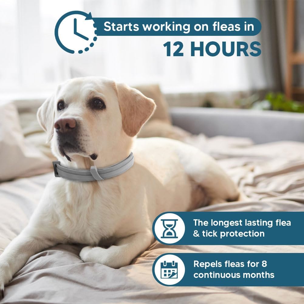 NJKPUYT Flea Collar for Dogs, Tick and Flea Collar for Dogs, Dog Tick Collar, Dog Flea Collars, Flea Collar for Large Dogs, Plant-Based Protection,Easy to Use,Lasts Up to 8 Months – 2 Pack - Image 2