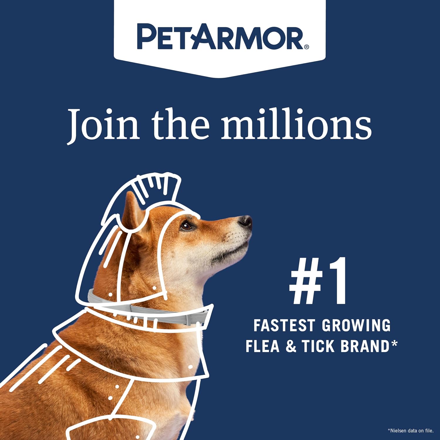 PetArmor Extend Large Dog Flea and Tick Treatment & Prevention, Collar for Large Dogs Above 18 lbs., 8 Months of Protection, Odorless & Non-Greasy, Waterproof, Kills Fleas, Ticks, and Larvae, 1 Count - Image 3