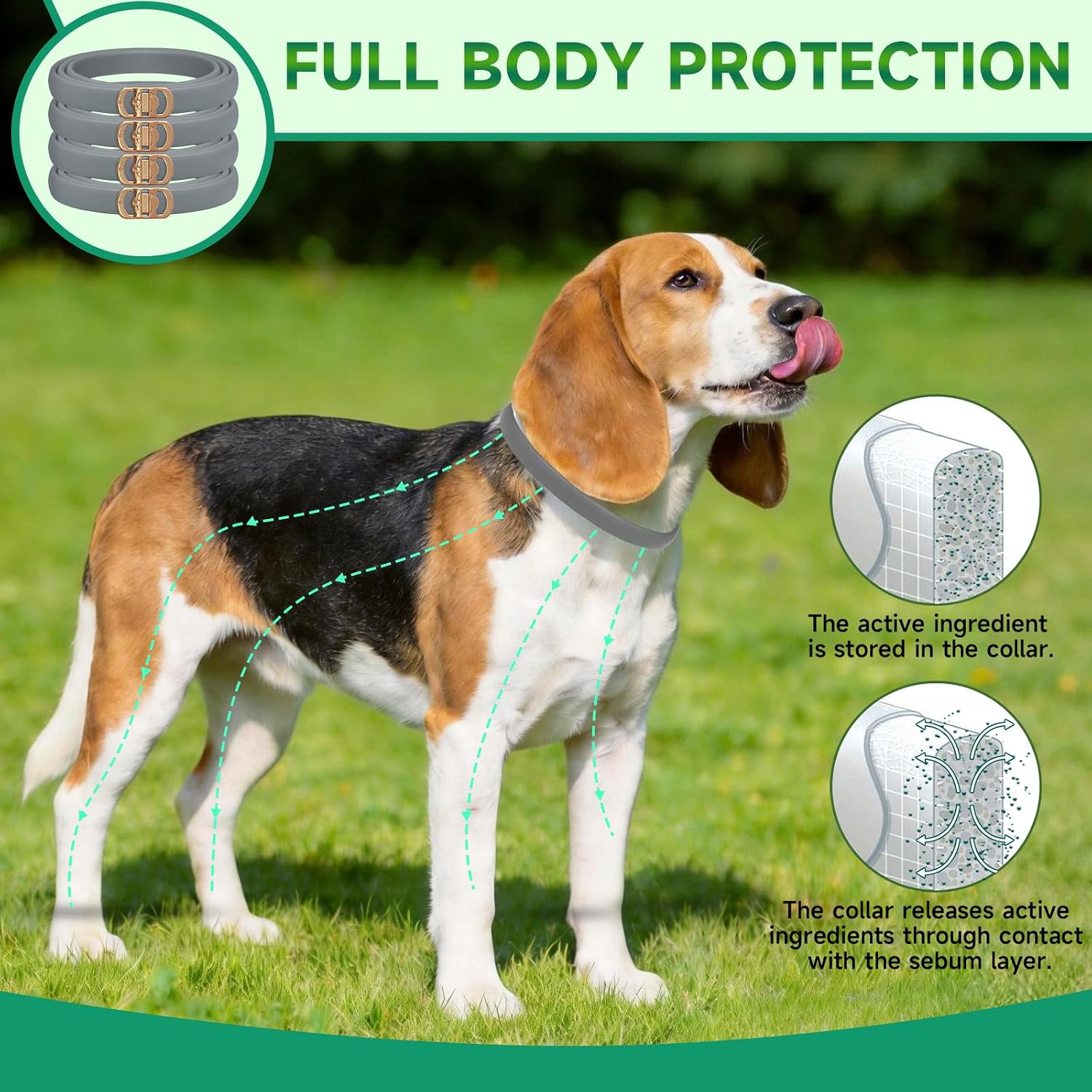 4 Pack Flea Collar for Dogs, 32 Months Flea and Tick Prevention for Dogs - Image 3