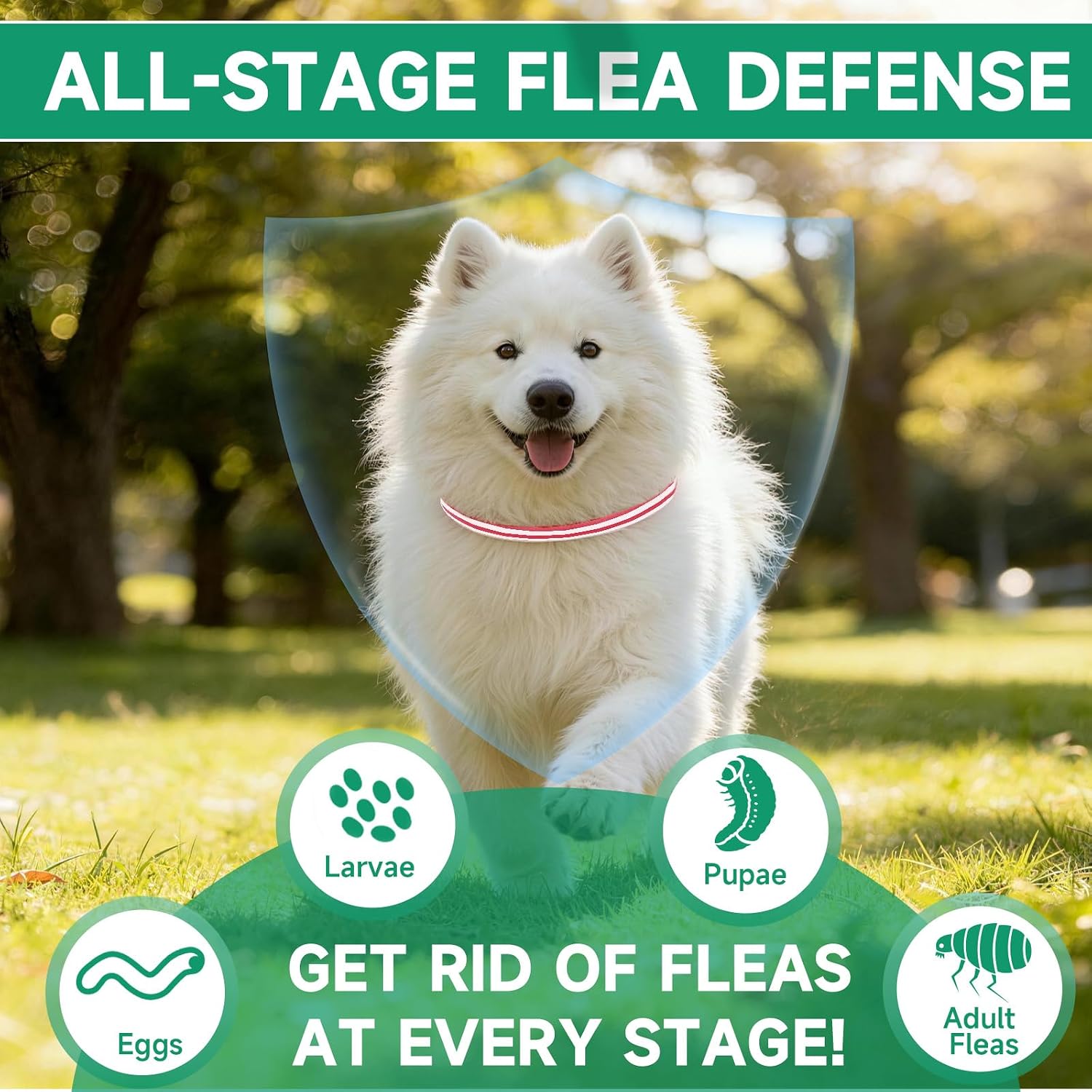 Flea Collar for Dogs, 4 Pack Flea and Tick Prevention for Dogs - Image 5