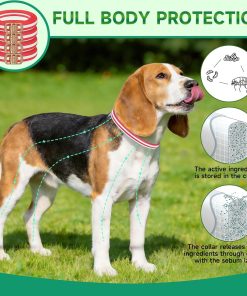 Alternative view of Flea Collar for Dogs, 4 Pack Flea and Tick Prevention for Dogs