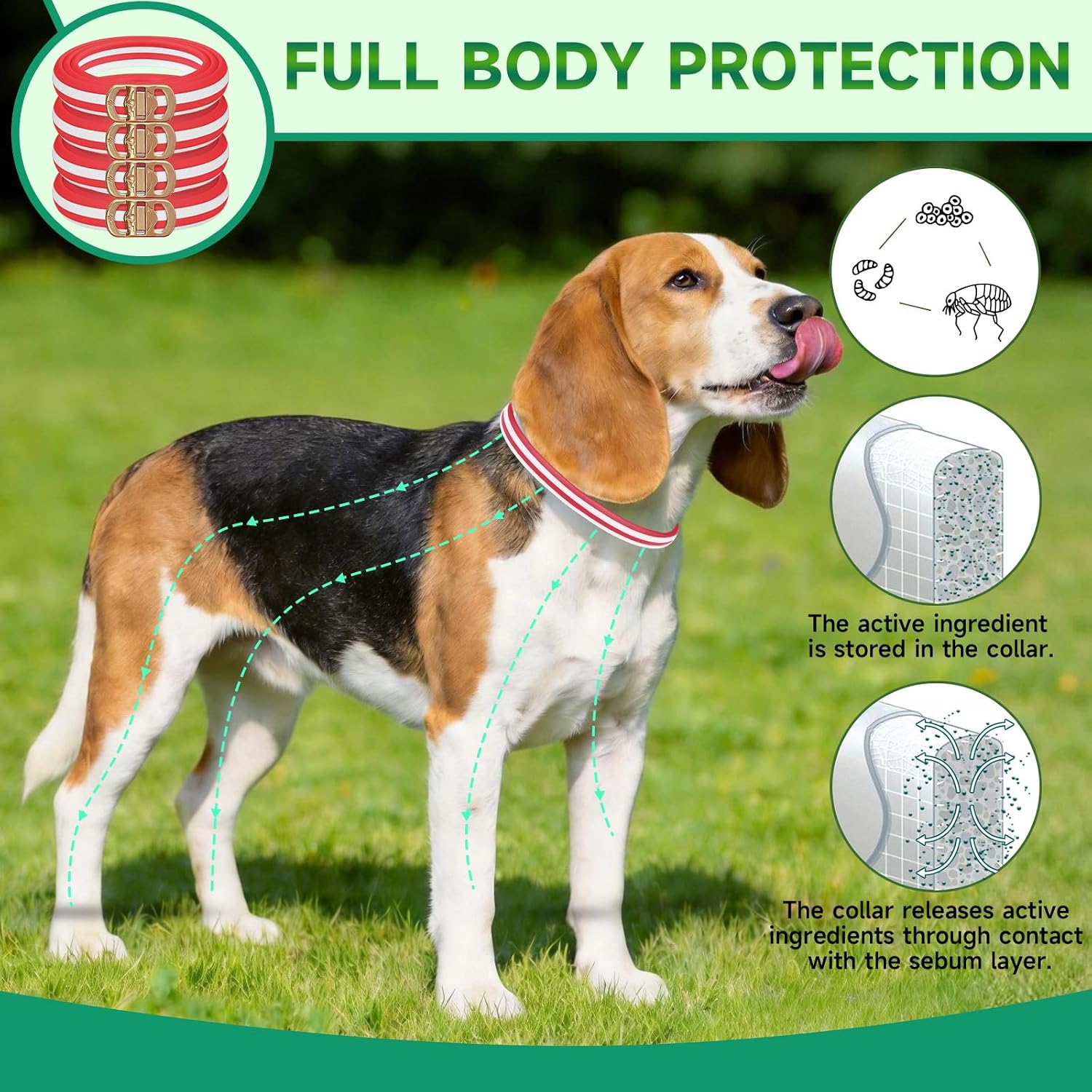 Flea Collar for Dogs, 4 Pack Flea and Tick Prevention for Dogs - Image 2