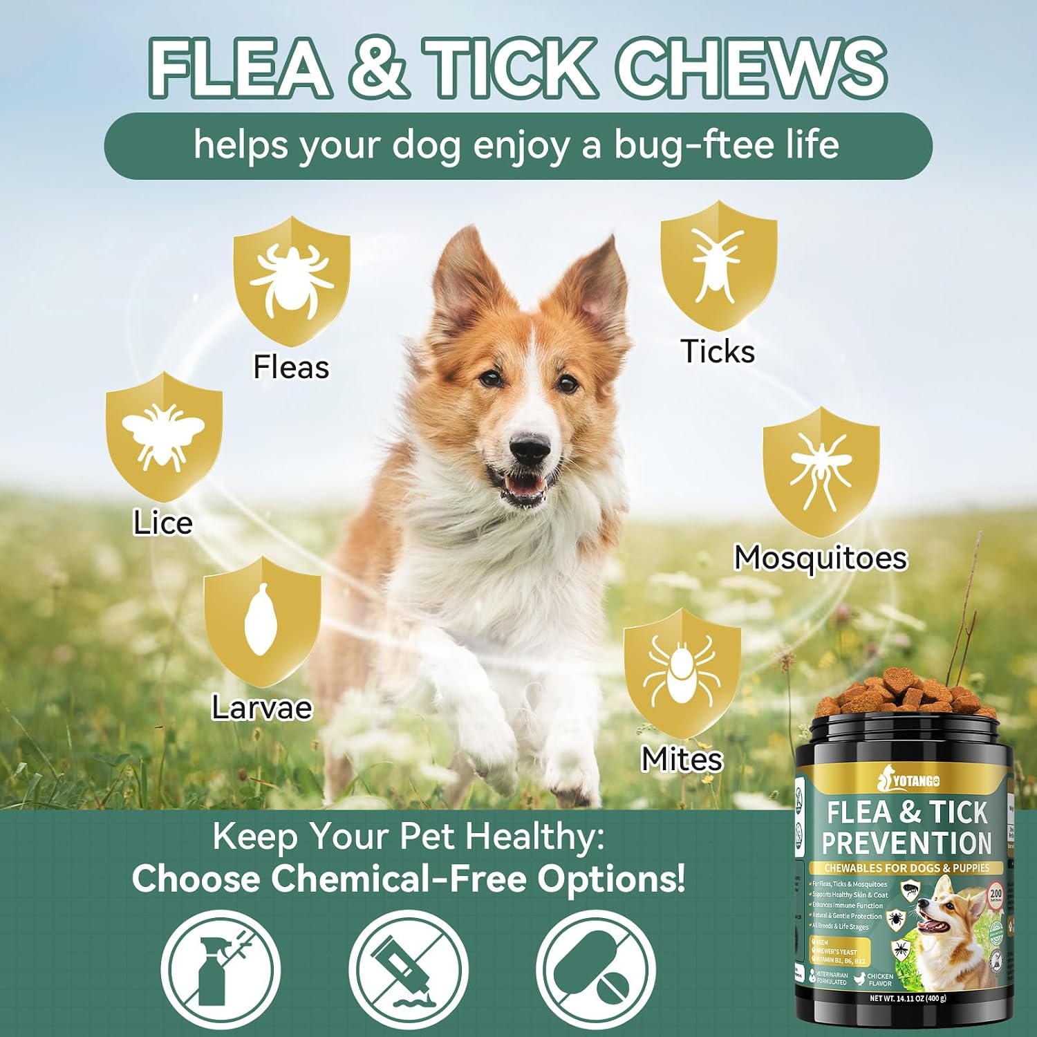 Flea and Tick Prevention for Dogs Chewable, Dog Flea Treatment, 200 Ct - Image 7
