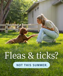 Alternative view of PetArmor Plus Flea and Tick Prevention for Dogs, Small Dog Flea and Tick Treatment, 6 Doses, Waterproof Topical, Fast Acting (5-22 lbs)