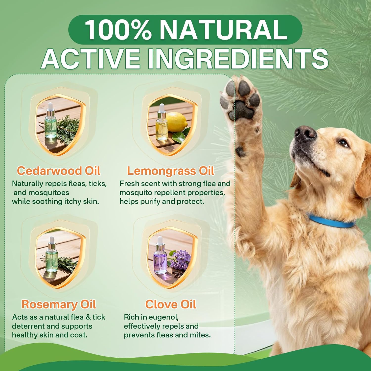 Puyrzoe Flea and Tick Prevention for Dogs, 4 Pack Flea Collar for Dogs - Image 4