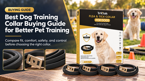 Dog training collar buying guide for fit, safety, and reward-based pet training