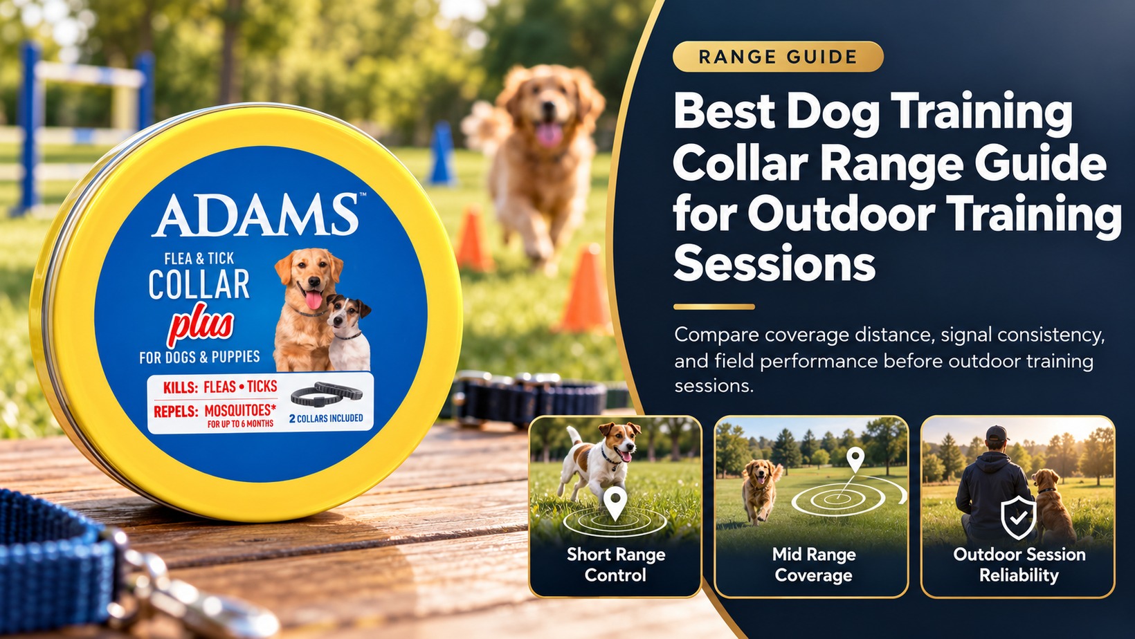 Dog training collar range guide for safe outdoor distance training sessions